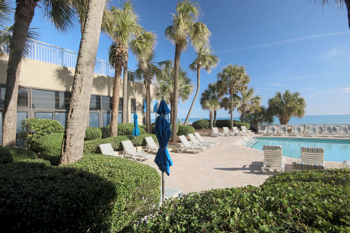 This exterior image features a sparkling swimming pool bordered by lounge chairs and blue umbrellas, surrounded by swaying palm trees. The pool area is lively yet inviting, radiating a social atmosphere perfect for group gatherings or enjoying poolside cocktails.