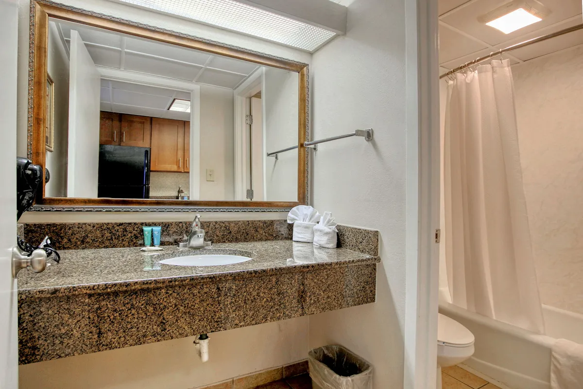 A modern bathroom showcases a granite countertop vanity sink, a large mirror, fresh towels, and a shower with a curtain. The clean, fresh space is accented by practical touches that make getting ready or winding down feel effortless.